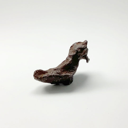 Gebel Kamil Meteorite - Rocks and Gems Canada