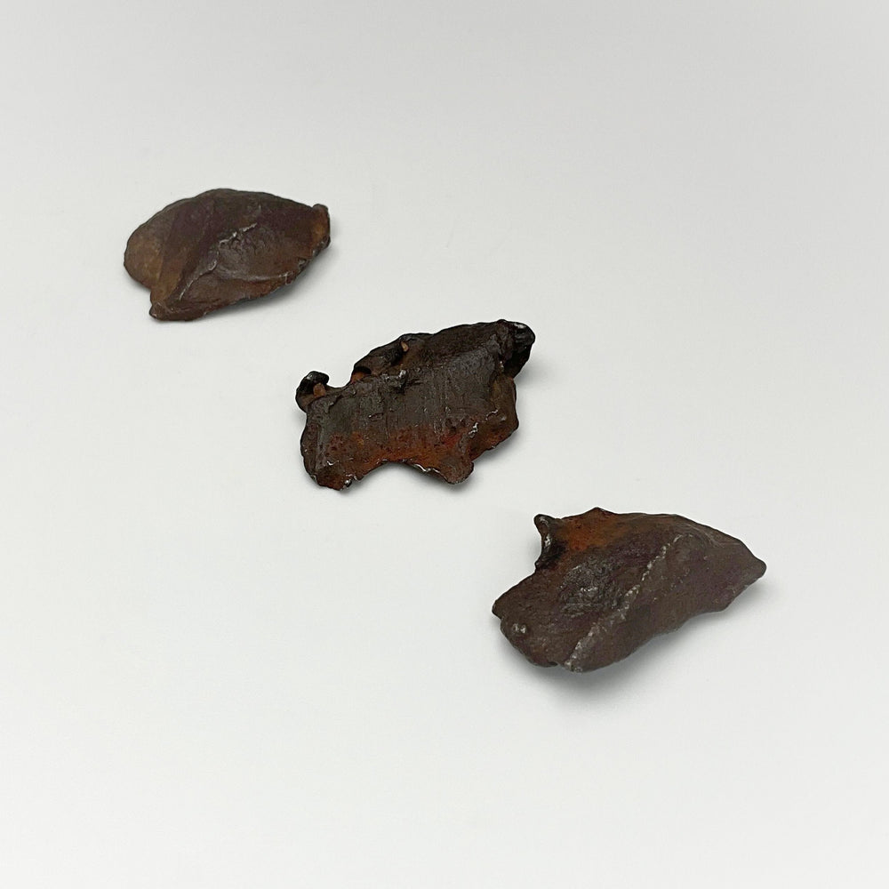 Gebel Kamil Meteorite - Rocks and Gems Canada