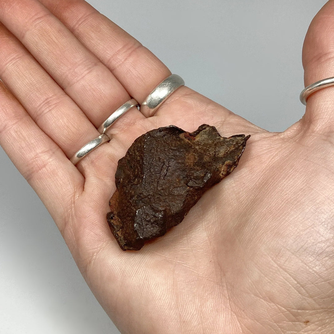 Gebel Kamil Meteorite - Rocks and Gems Canada