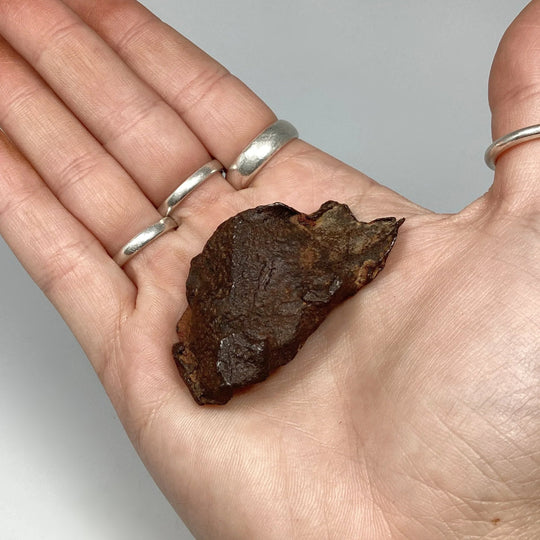 Gebel Kamil Meteorite - Rocks and Gems Canada