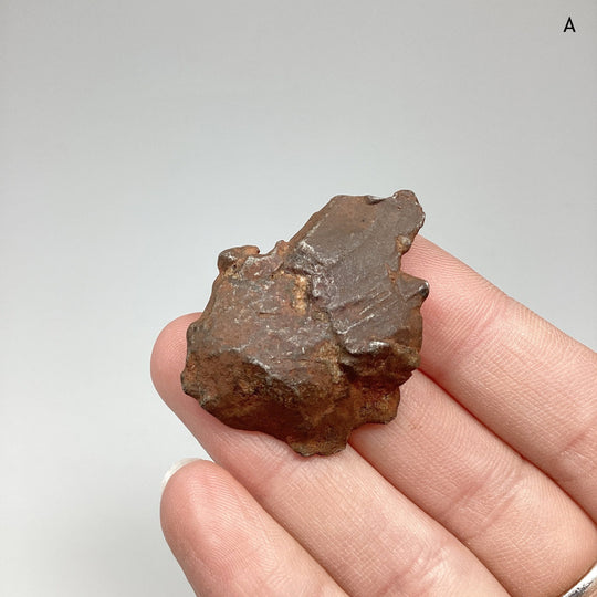 Gebel Kamil Meteorite - Rocks and Gems Canada