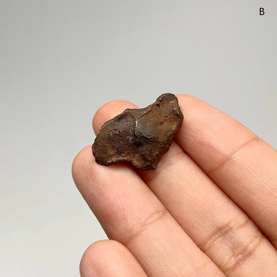 Gebel Kamil Meteorite - Rocks and Gems Canada
