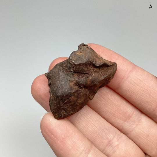 Gebel Kamil Meteorite - Rocks and Gems Canada