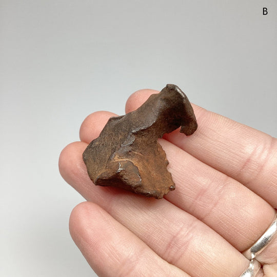 Gebel Kamil Meteorite - Rocks and Gems Canada