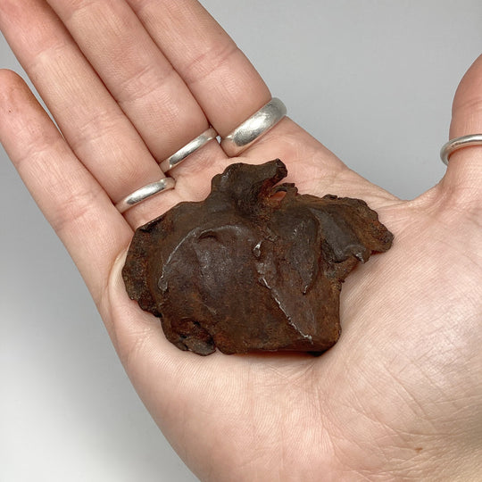 Gebel Kamil Meteorite - Rocks and Gems Canada