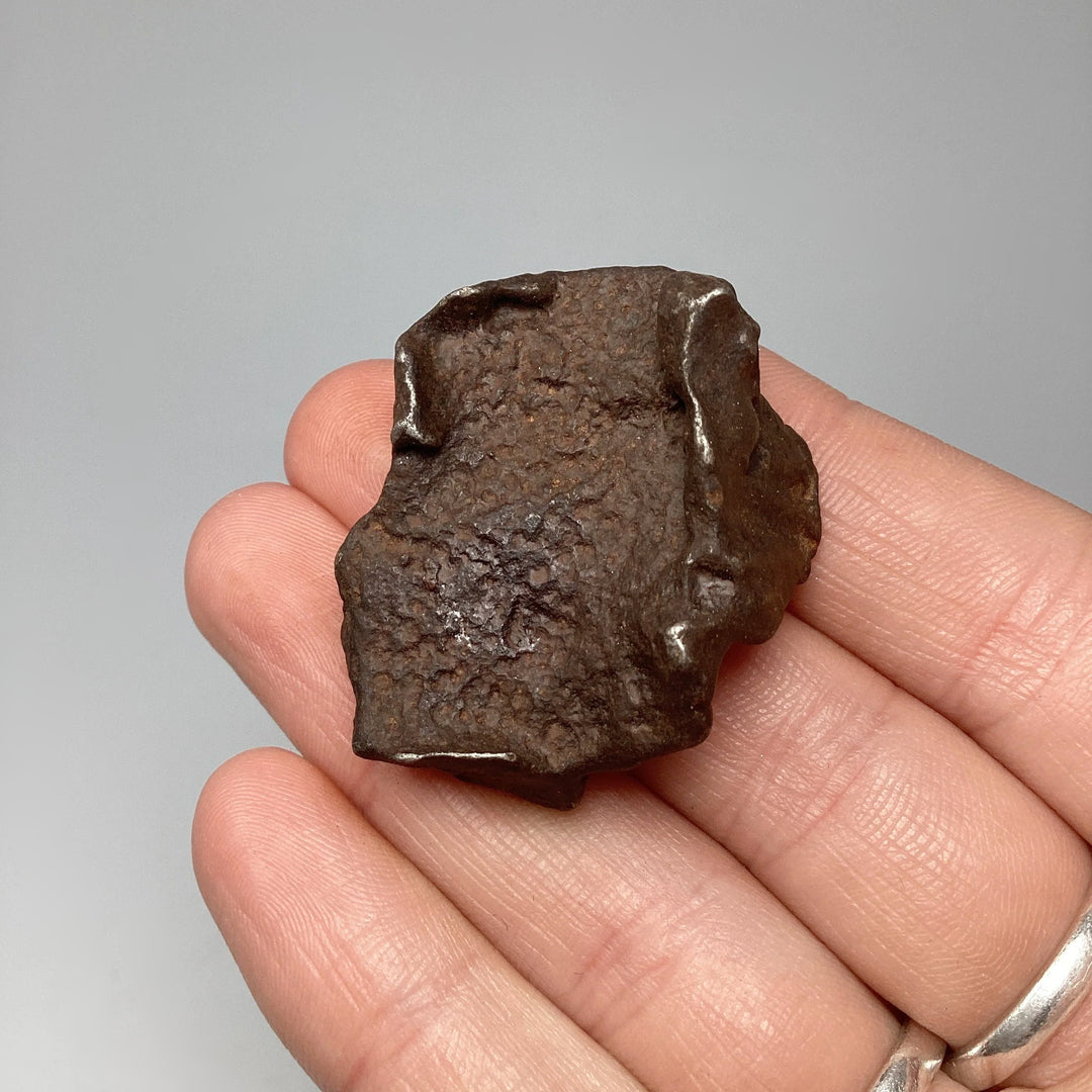 Gebel Kamil Meteorite - Rocks and Gems Canada