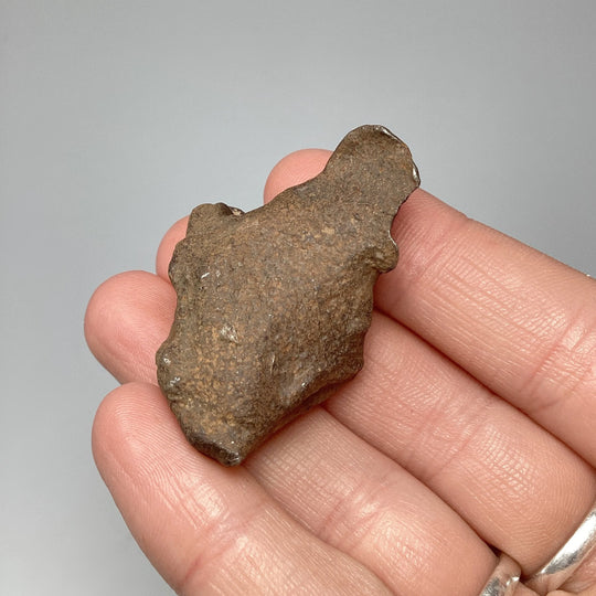 Gebel Kamil Meteorite - Rocks and Gems Canada