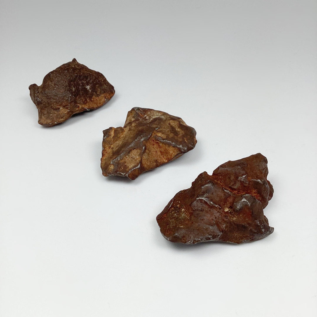 Gebel Kamil Meteorite - Rocks and Gems Canada