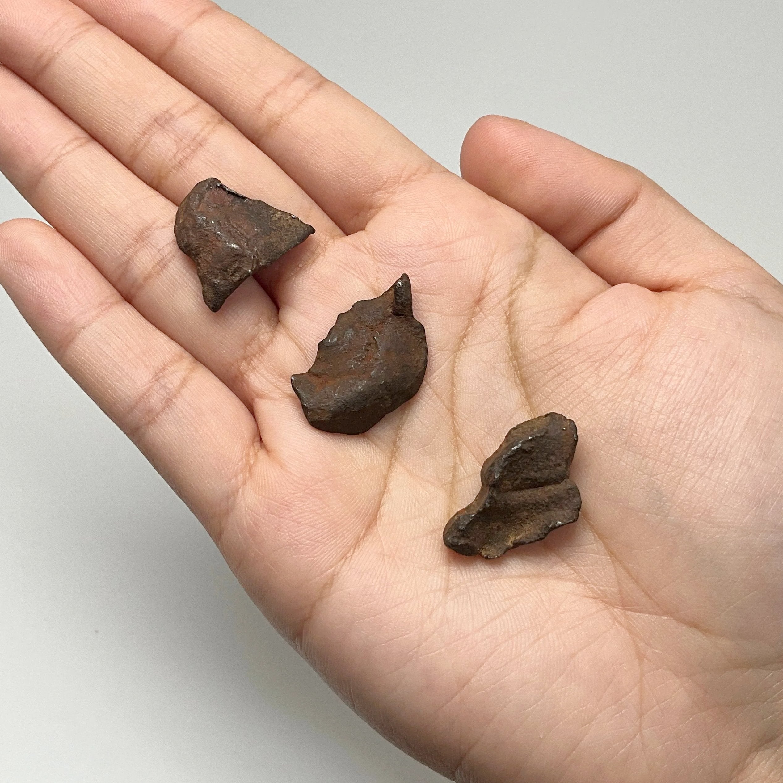 Gebel Kamil meteorite over pendant .隕石 Gebel Kamil meteorite over pendant .隕石