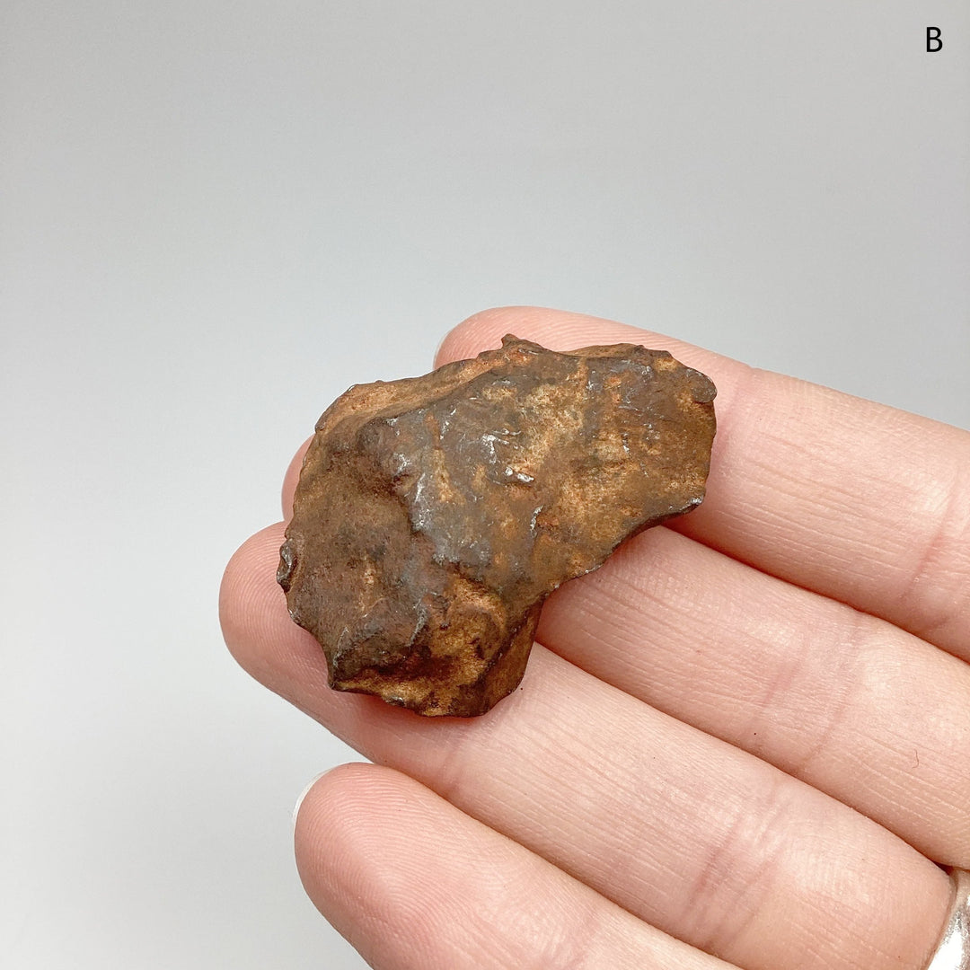 Gebel Kamil Meteorite - Rocks and Gems Canada