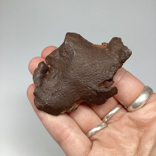 Gebel Kamil Meteorite - Rocks and Gems Canada