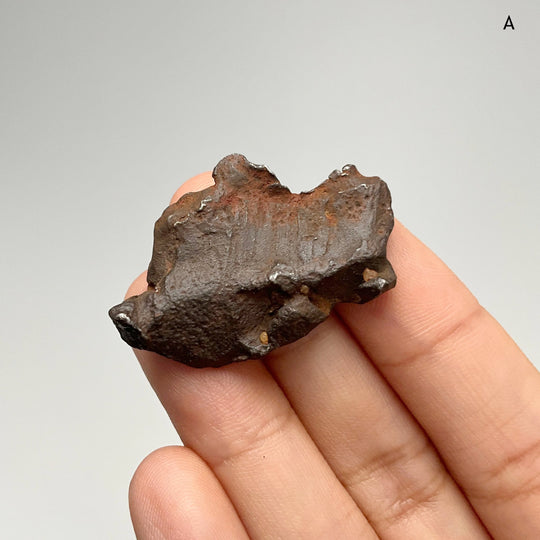 Gebel Kamil Meteorite - Rocks and Gems Canada