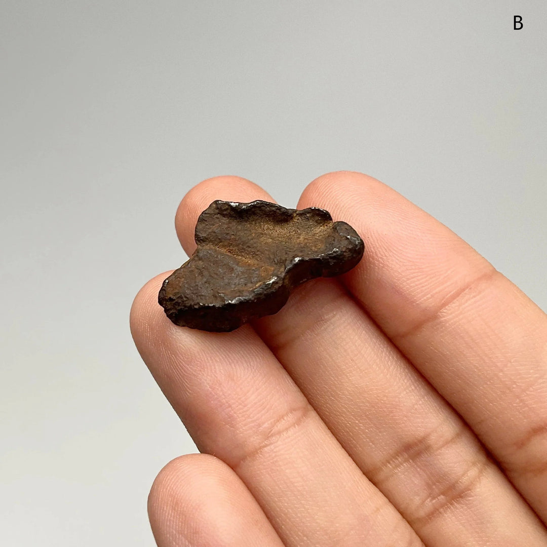 Gebel Kamil Meteorite - Rocks and Gems Canada