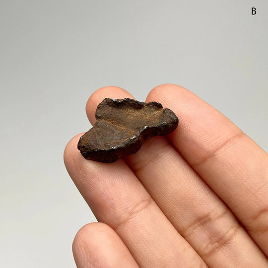 Gebel Kamil Meteorite - Rocks and Gems Canada