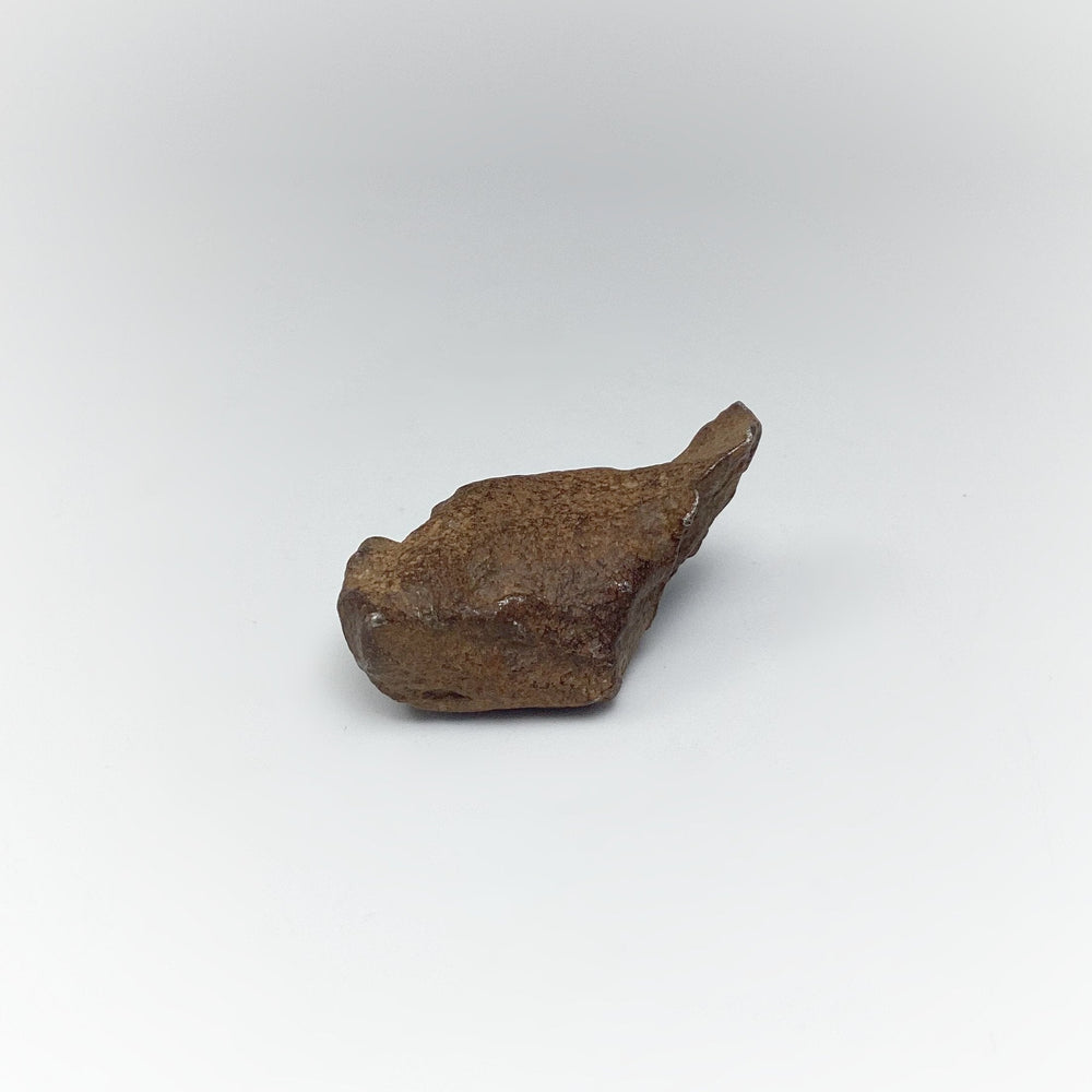 Gebel Kamil Meteorite - Rocks and Gems Canada