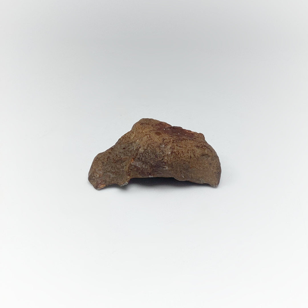 Gebel Kamil Meteorite - Rocks and Gems Canada