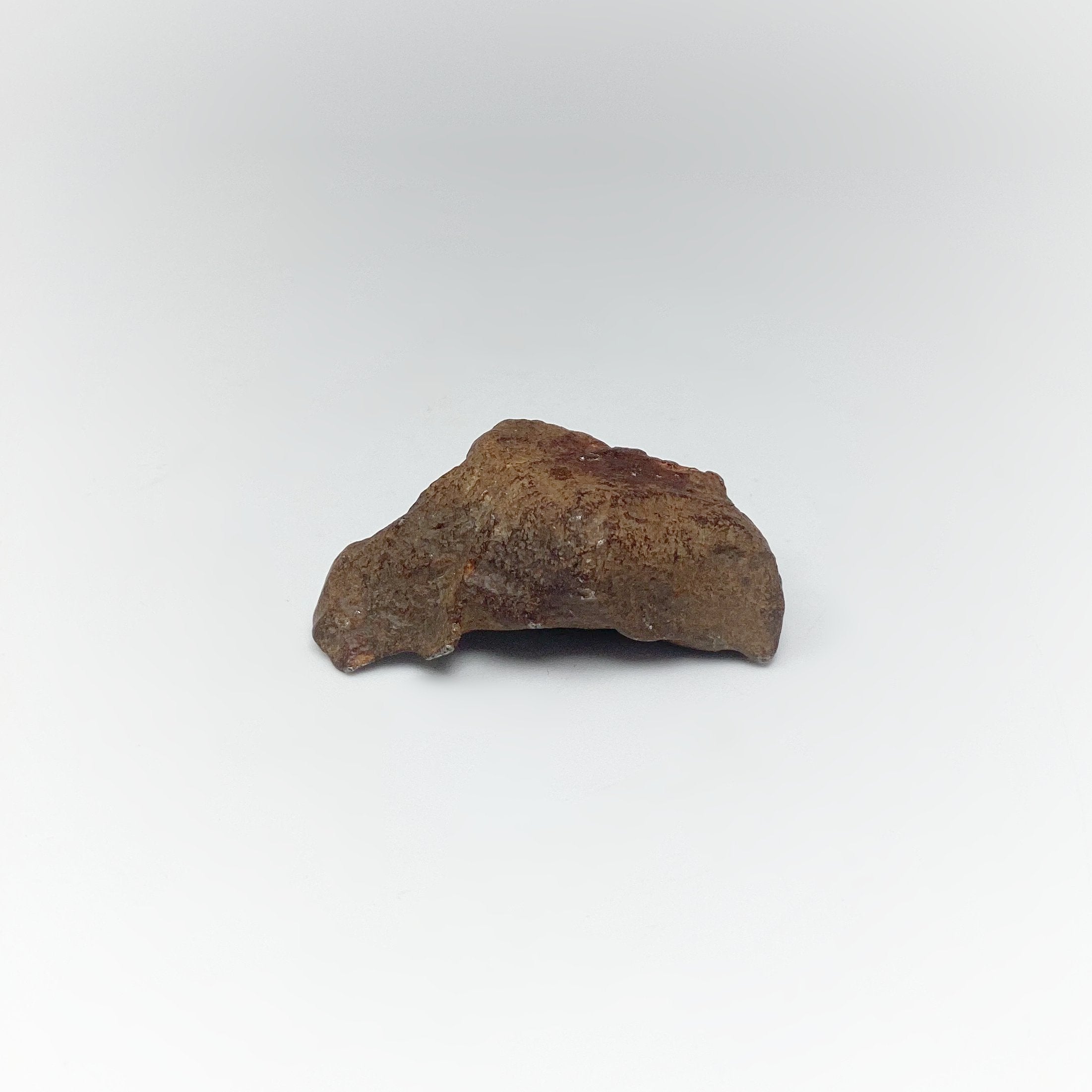 Gebel Kamil Meteorite - Rocks and Gems Canada