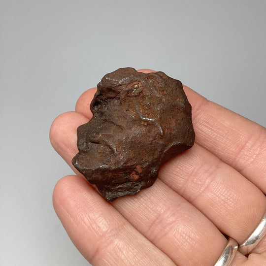 Gebel Kamil Meteorite - Rocks and Gems Canada