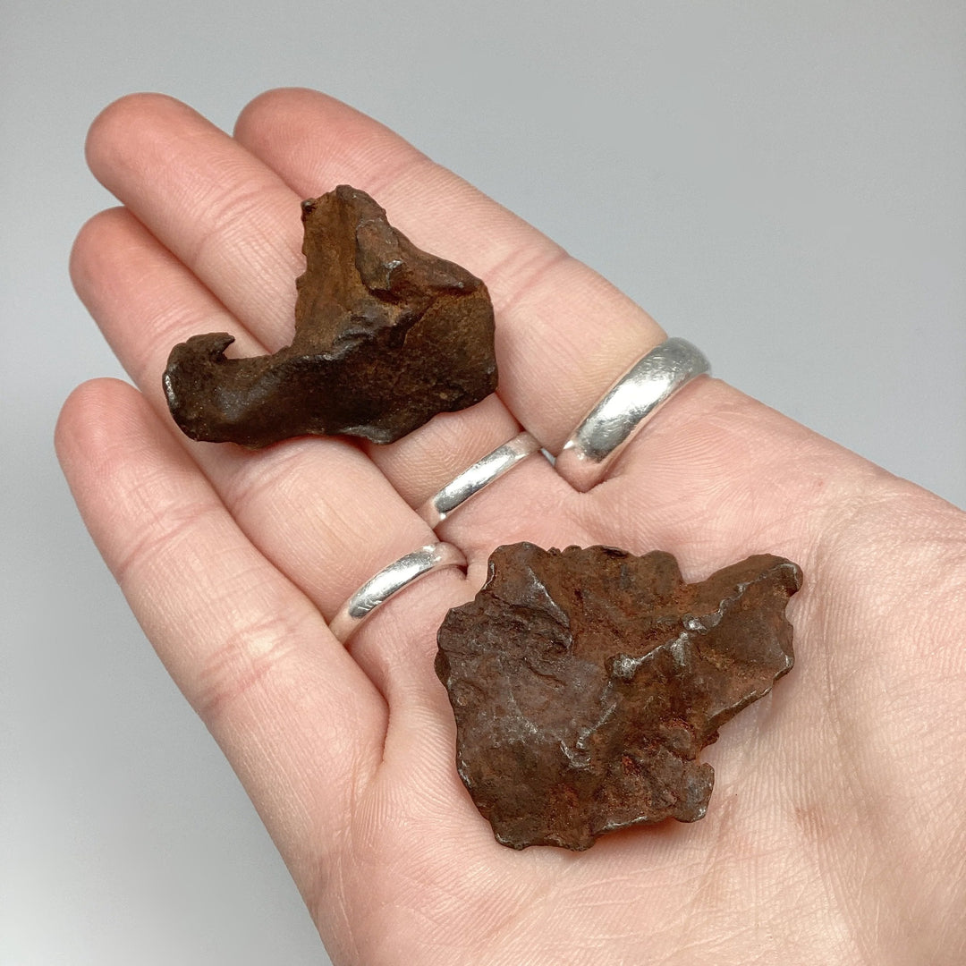Gebel Kamil Meteorite - Rocks and Gems Canada