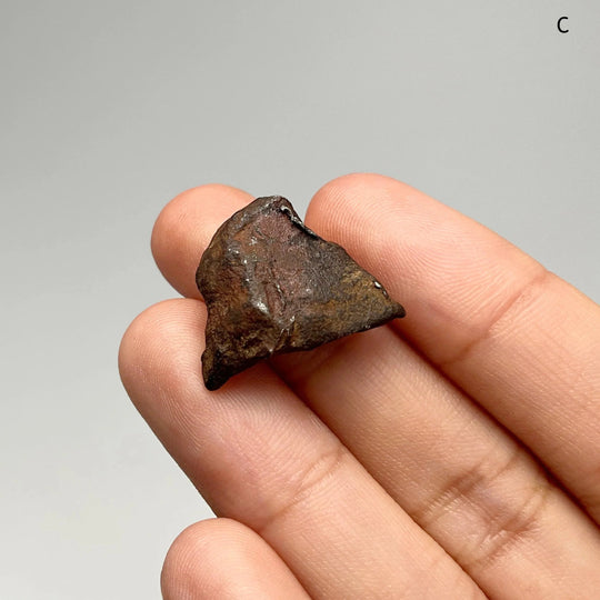 Gebel Kamil Meteorite - Rocks and Gems Canada