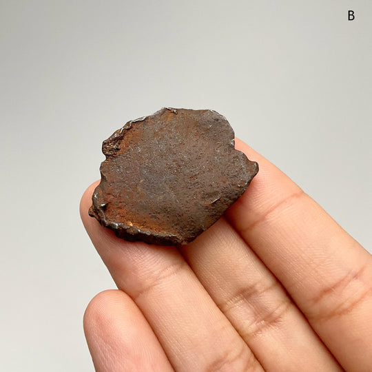 Gebel Kamil Meteorite - Rocks and Gems Canada