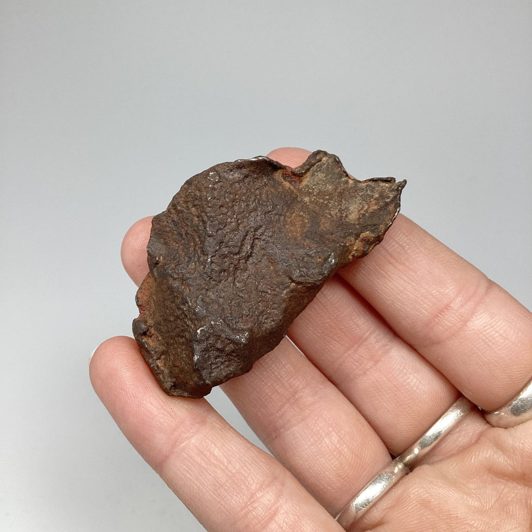 Gebel Kamil Meteorite - Rocks and Gems Canada