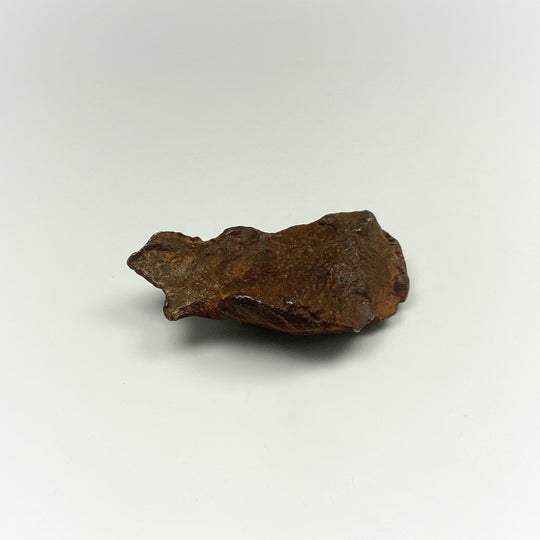 Gebel Kamil Meteorite - Rocks and Gems Canada