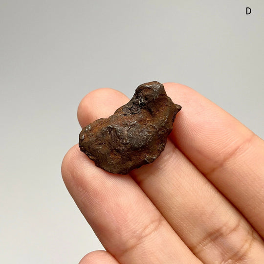 Gebel Kamil Meteorite - Rocks and Gems Canada