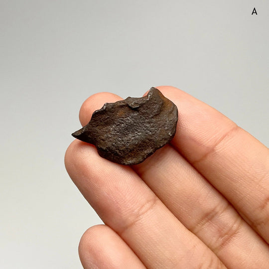 Gebel Kamil Meteorite - Rocks and Gems Canada
