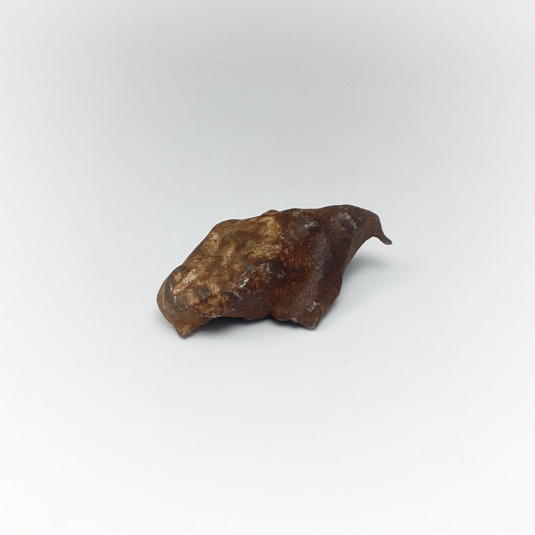 Gebel Kamil Meteorite - Rocks and Gems Canada
