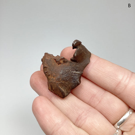 Gebel Kamil Meteorite - Rocks and Gems Canada