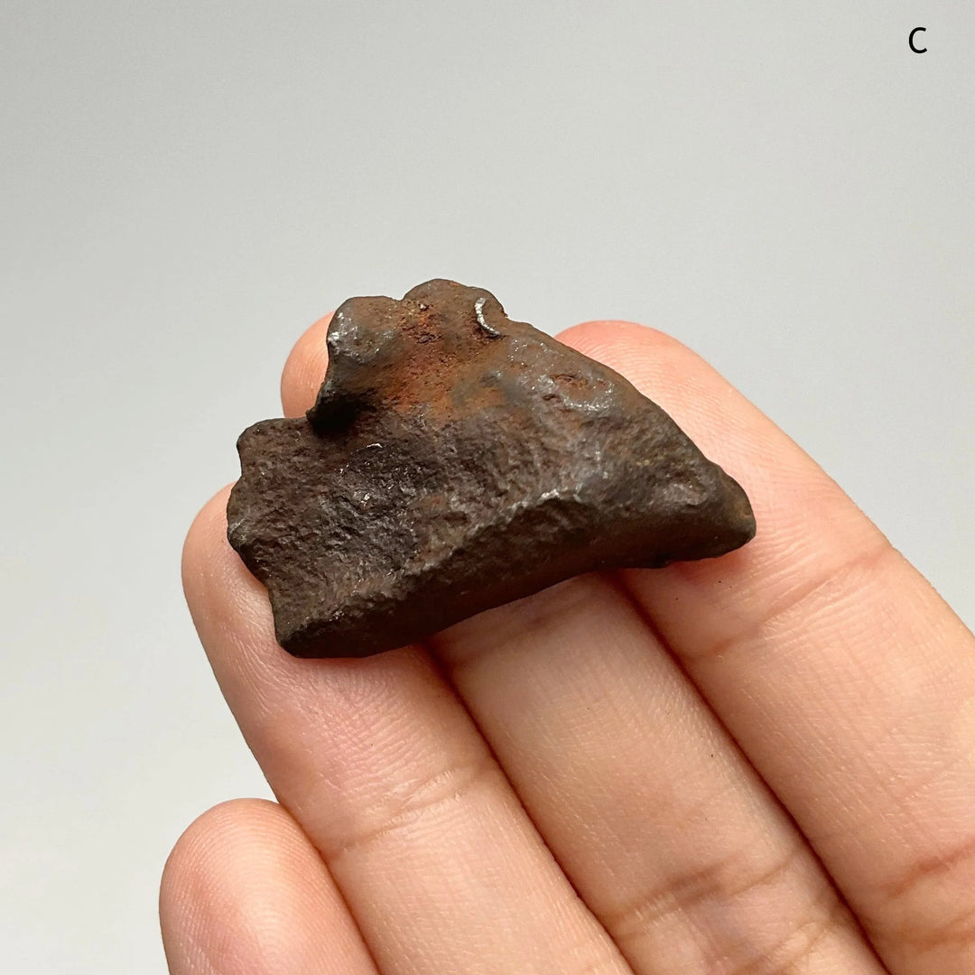 Gebel Kamil Meteorite - Rocks and Gems Canada
