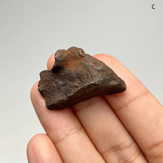 Gebel Kamil Meteorite - Rocks and Gems Canada