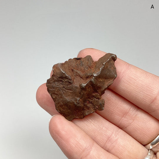 Gebel Kamil Meteorite - Rocks and Gems Canada