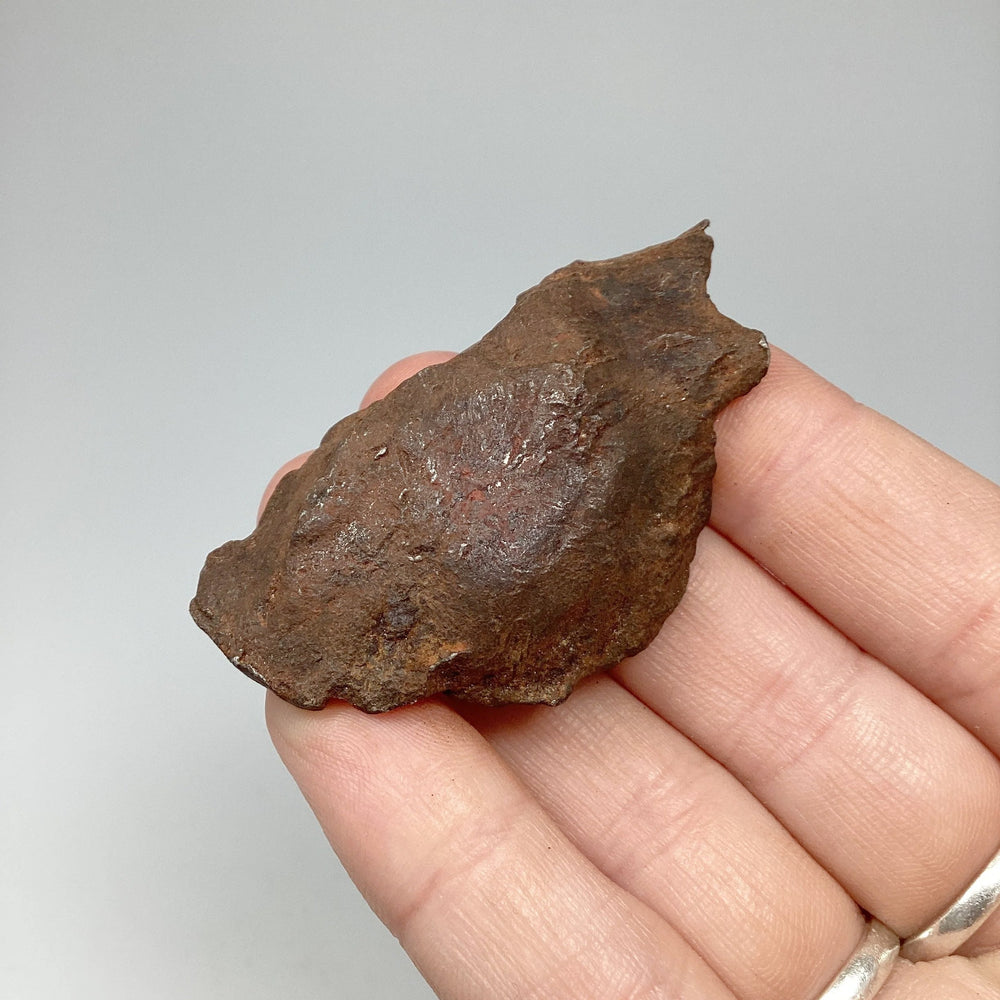 Gebel Kamil Meteorite - Rocks and Gems Canada