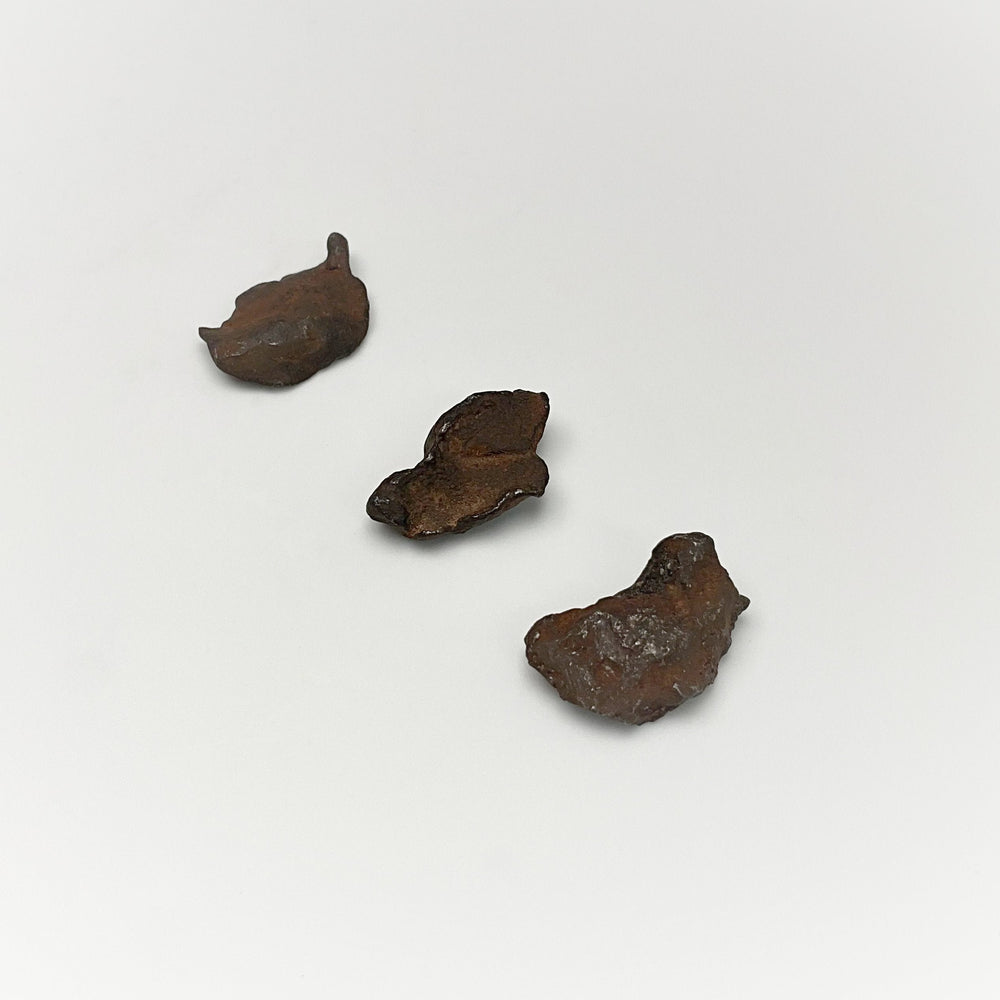 Gebel Kamil Meteorite - Rocks and Gems Canada