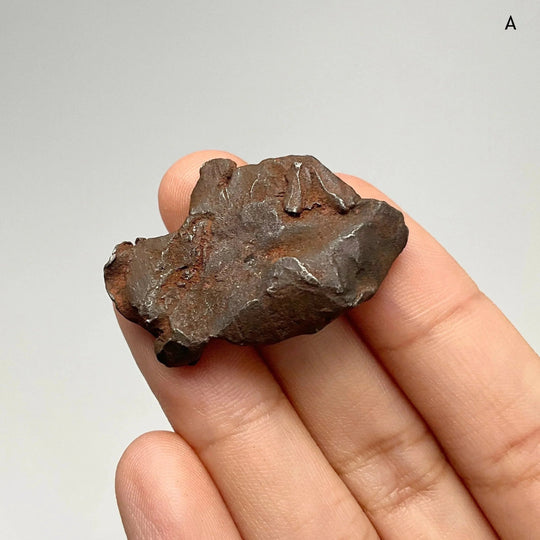 Gebel Kamil Meteorite - Rocks and Gems Canada