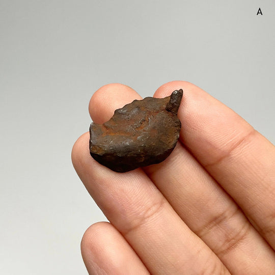 Gebel Kamil Meteorite - Rocks and Gems Canada