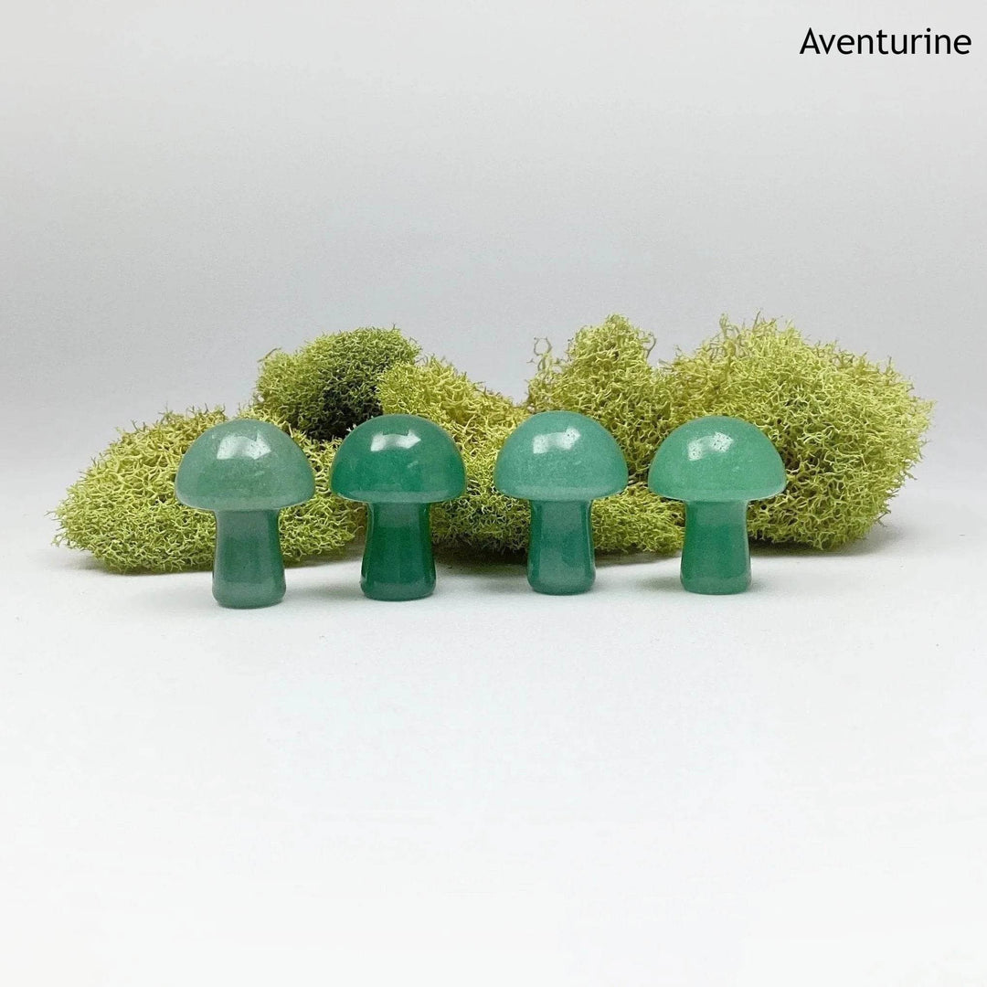 Gemstone Mushroom-Rocks and Gems Canada
