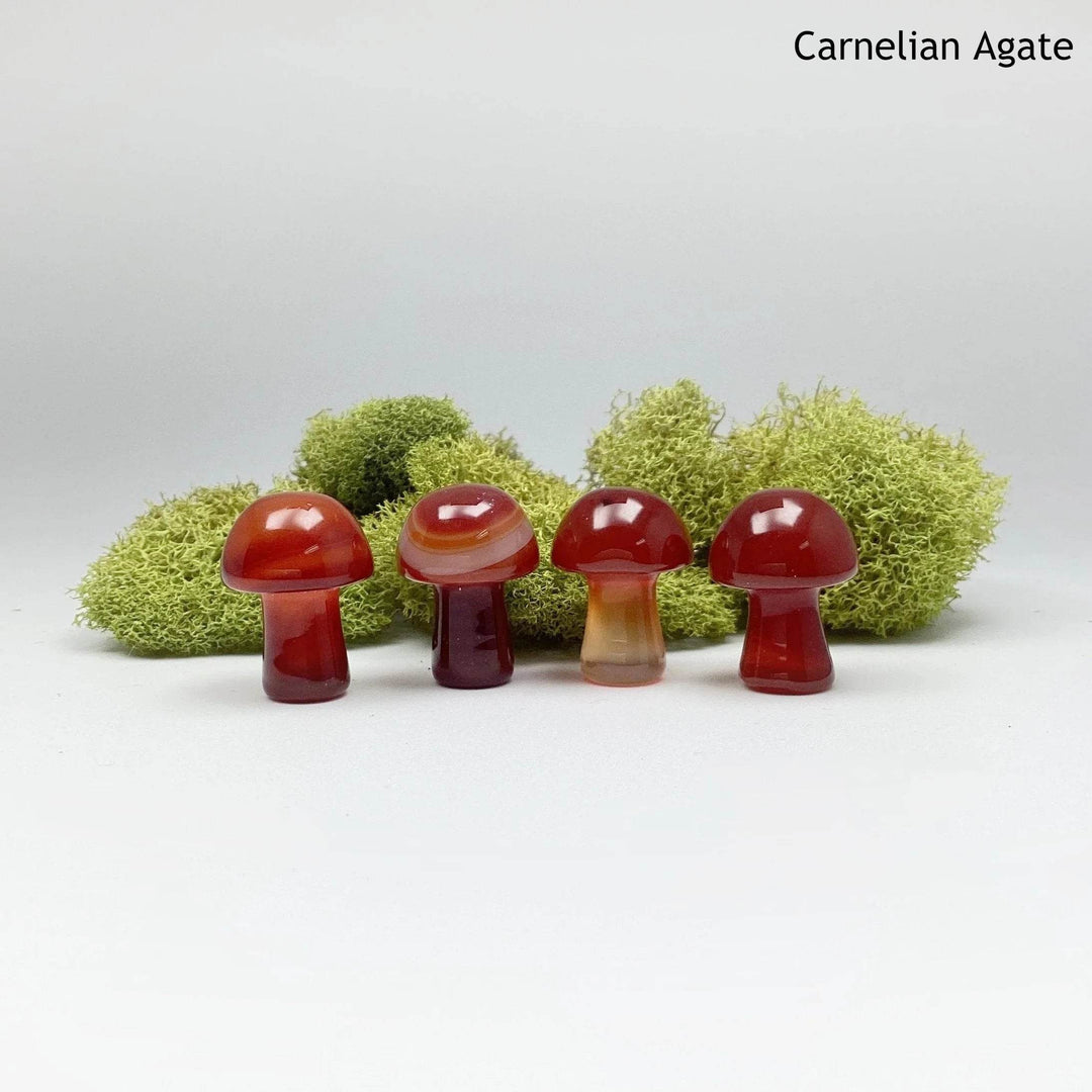 Gemstone Mushroom-Rocks and Gems Canada