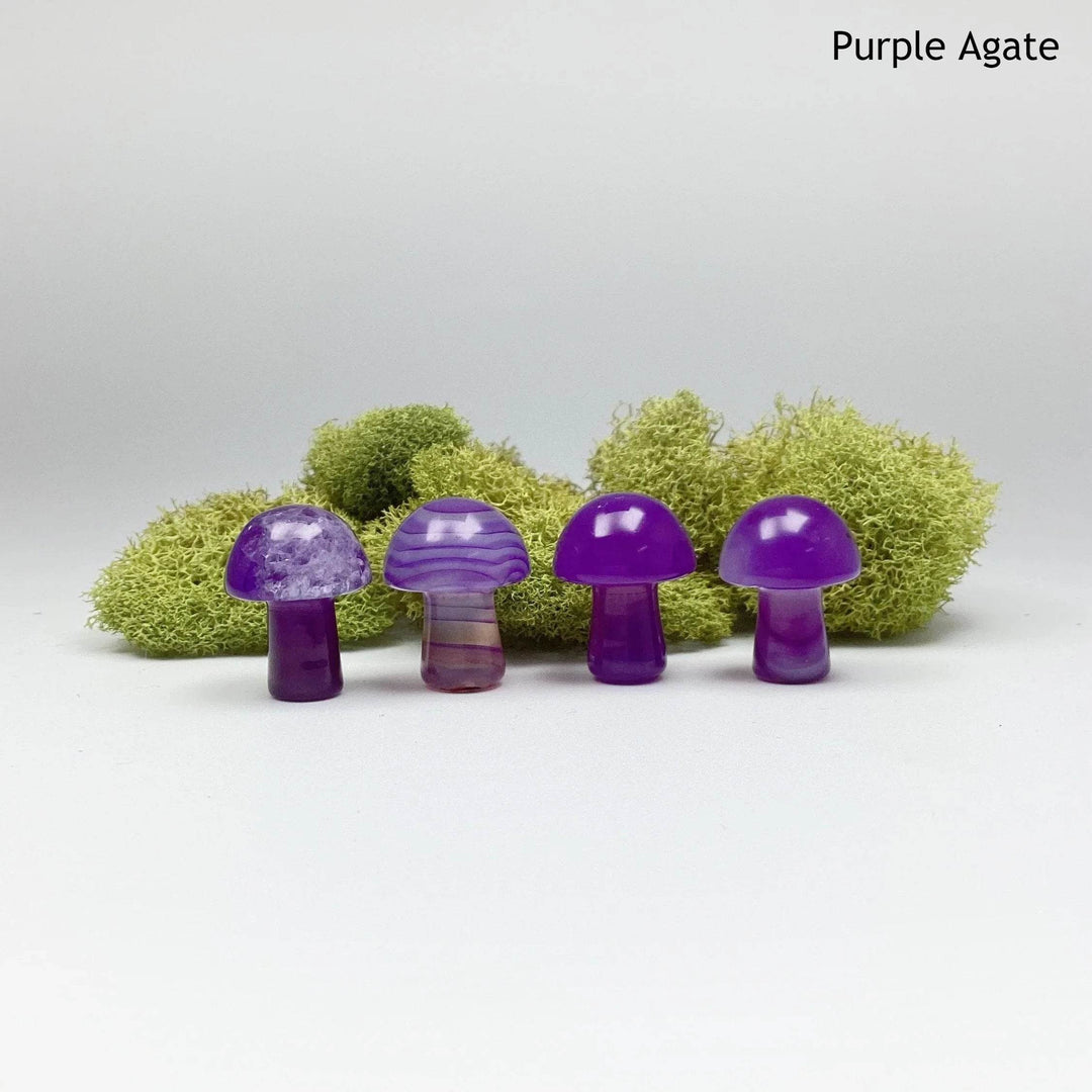 Gemstone Mushroom-Rocks and Gems Canada