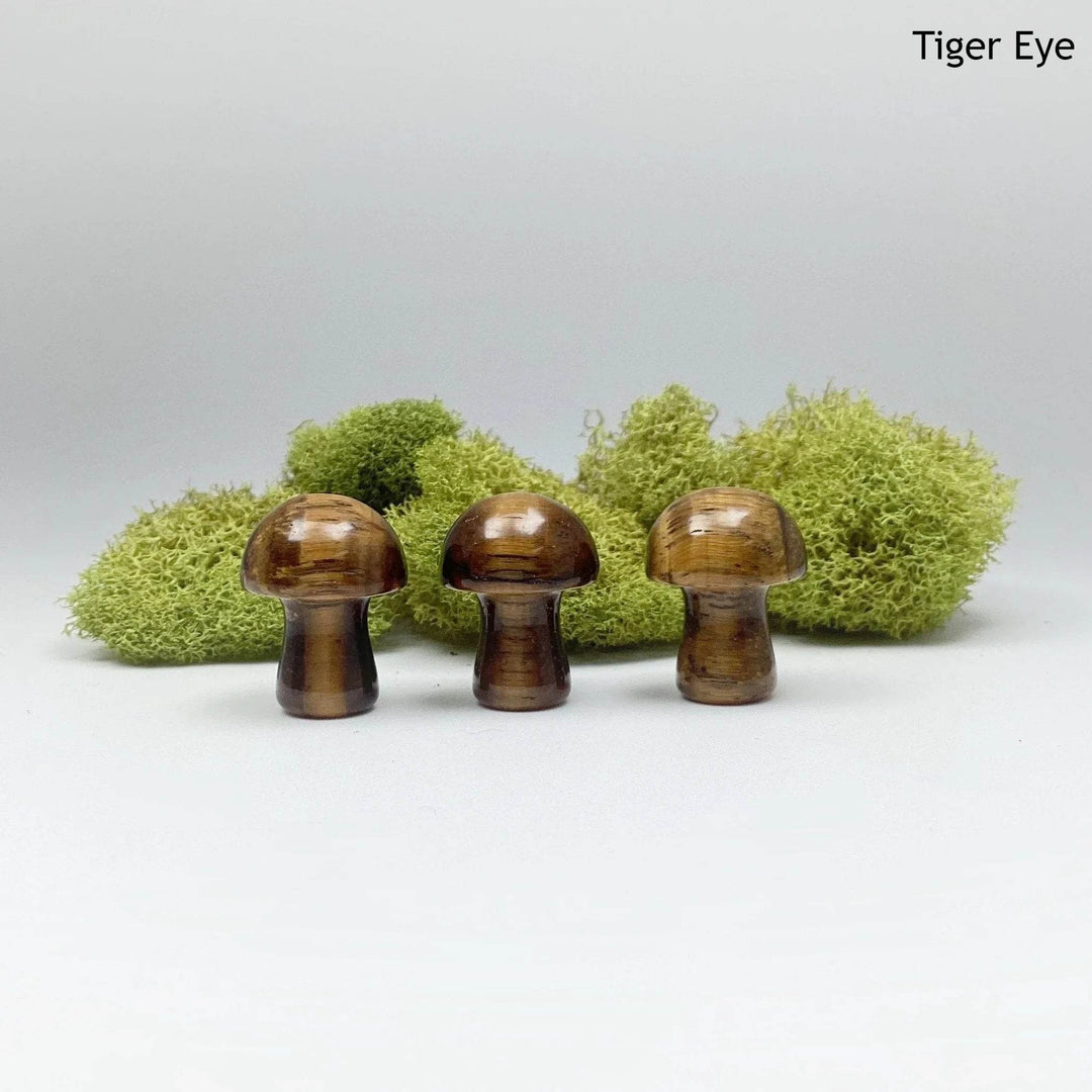 Gemstone Mushroom-Rocks and Gems Canada