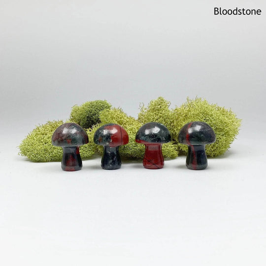 Gemstone Mushroom-Rocks and Gems Canada