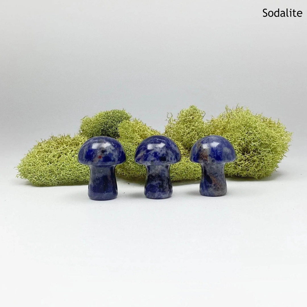 Gemstone Mushroom-Rocks and Gems Canada
