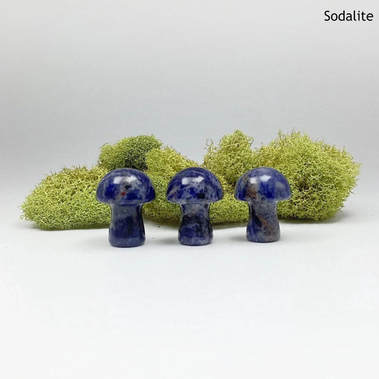 Gemstone Mushroom-Rocks and Gems Canada