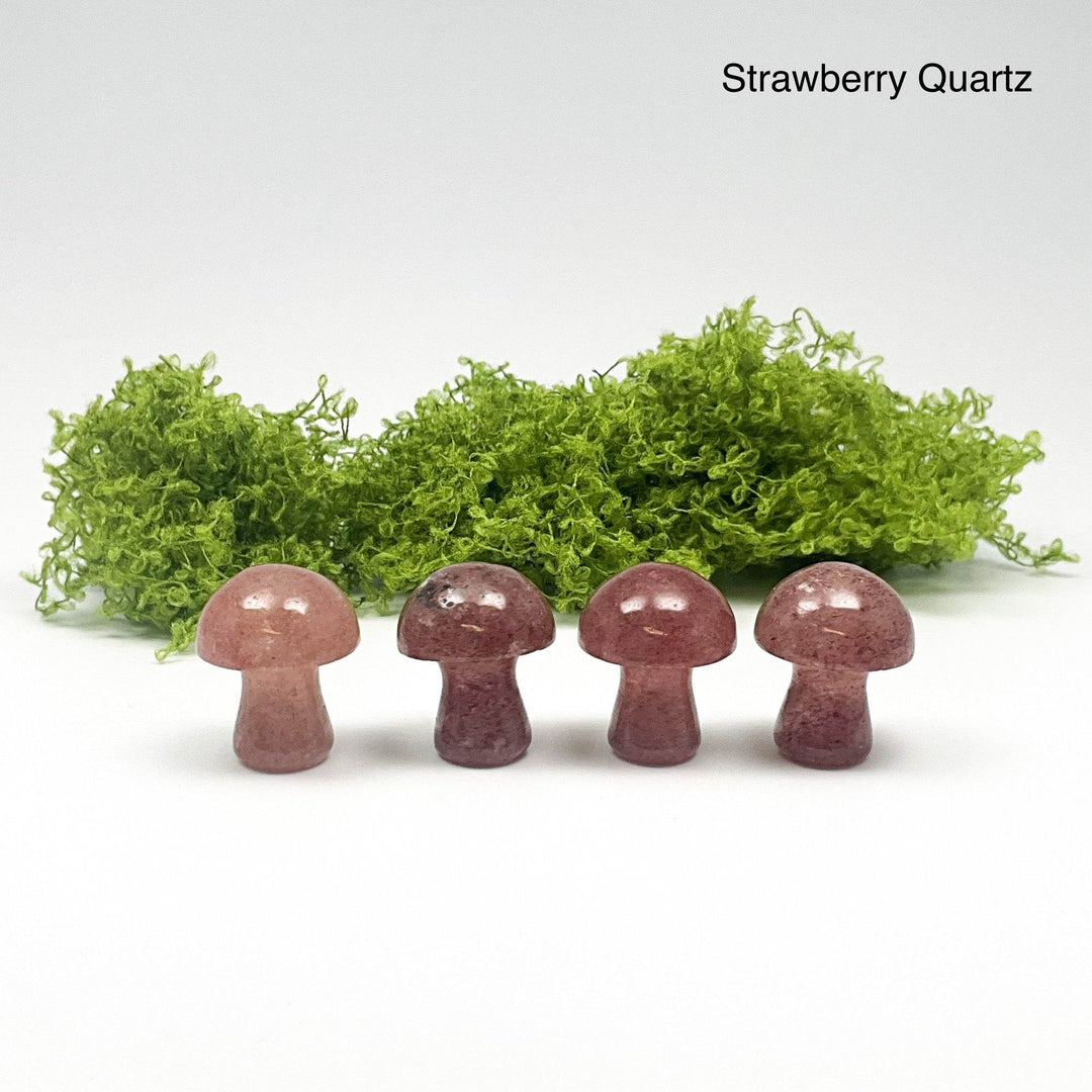 Gemstone Mushroom-Rocks and Gems Canada