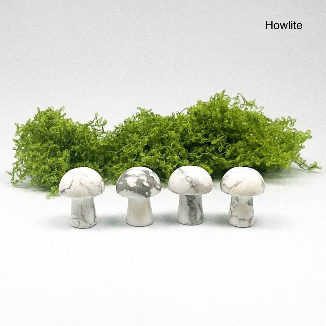 Gemstone Mushroom-Rocks and Gems Canada