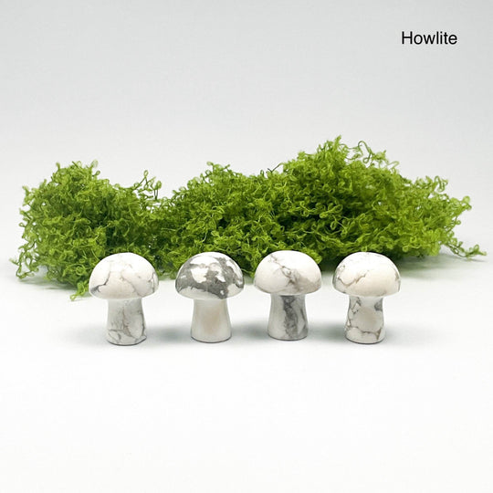 Gemstone Mushroom-Rocks and Gems Canada