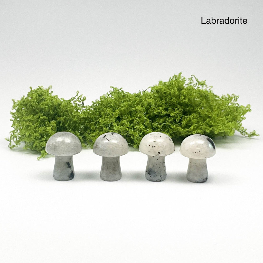Gemstone Mushroom-Rocks and Gems Canada