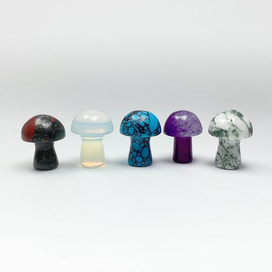 Gemstone Mushroom-Rocks and Gems Canada
